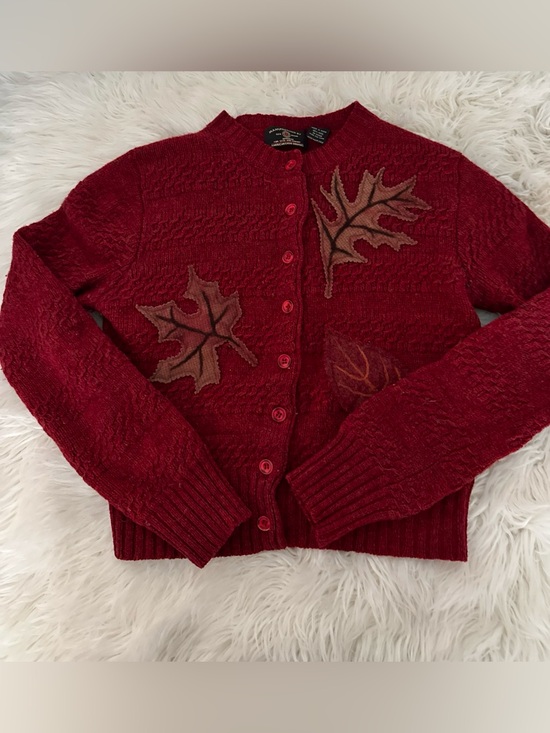 American Eagle Outfitters Sweaters - American Eagle Outfitters Red Button-Up Cardigan with Leaf Appliqués